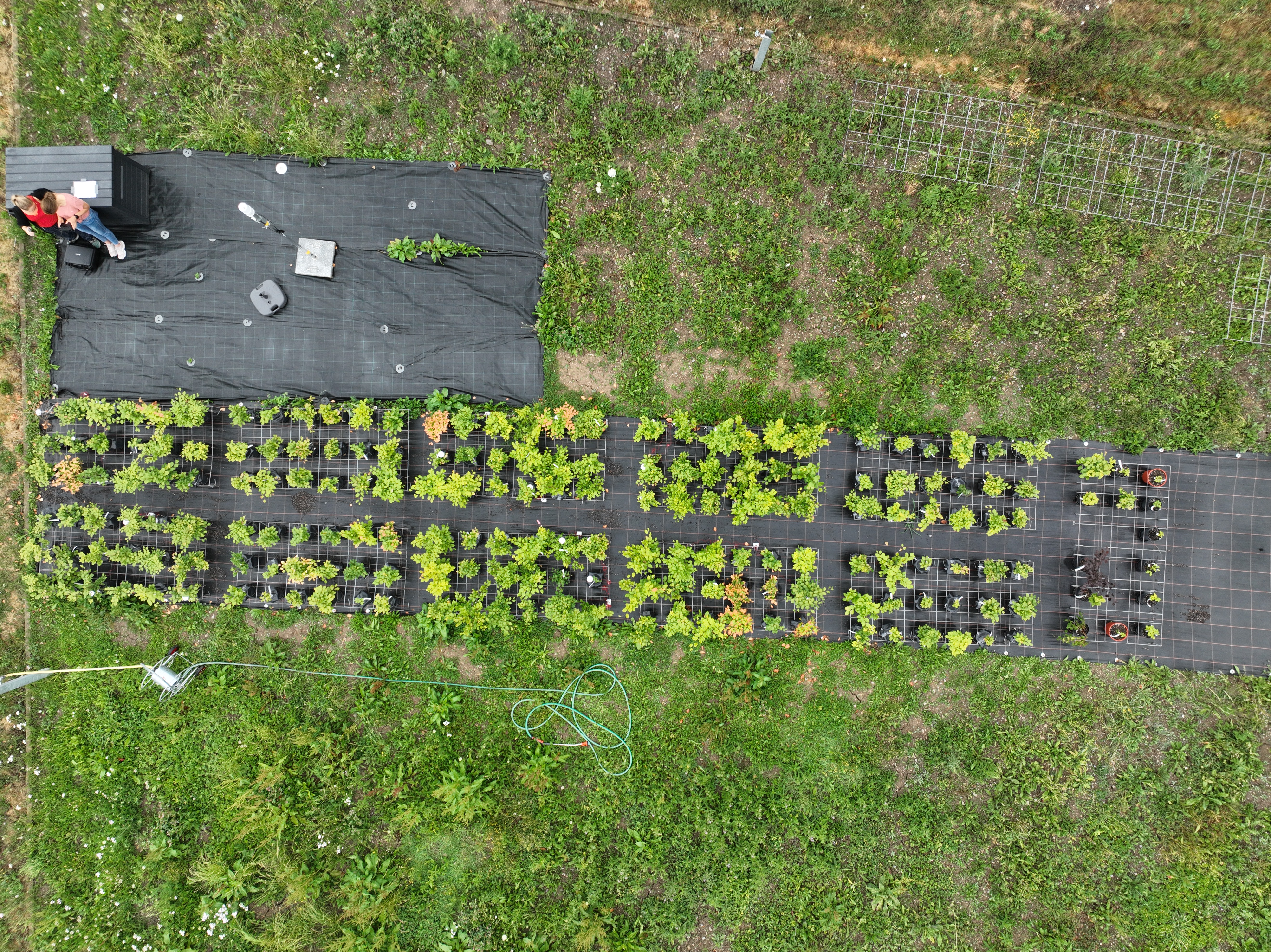 DJI_20230630161645_0006_D