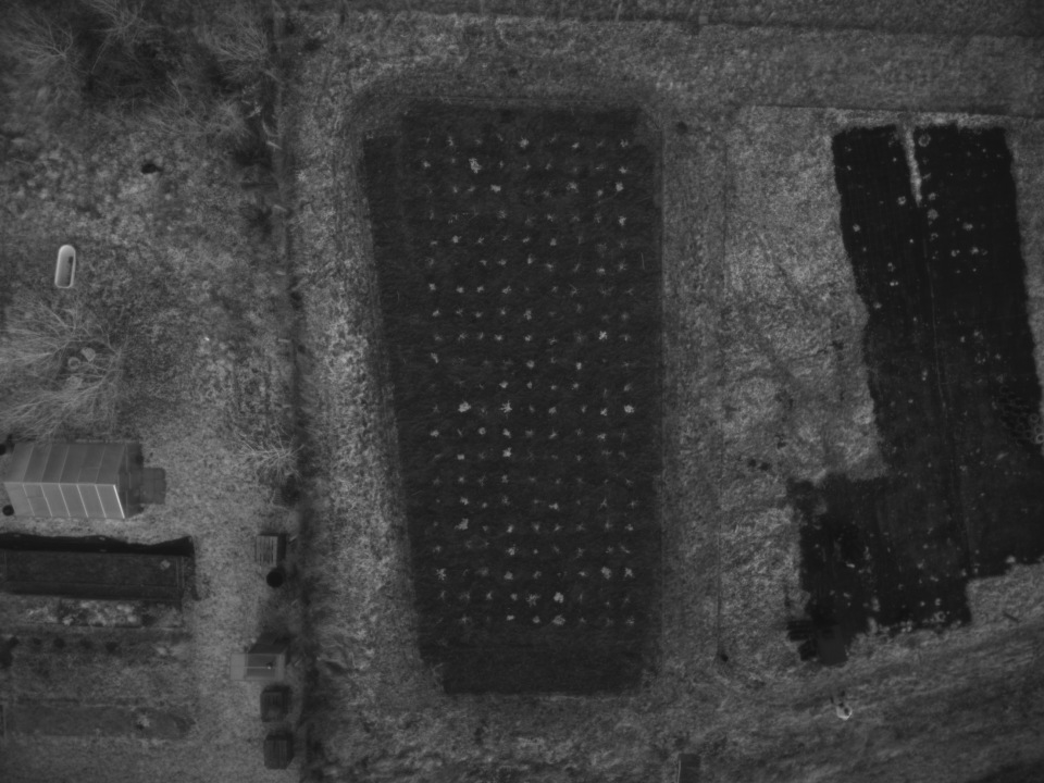 DJI_20251127153942_0010_MS_NIR